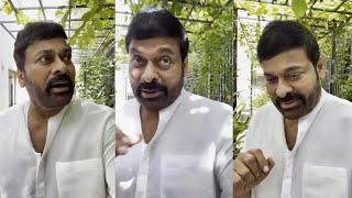 Megastar Chiranjeevi Latest Video From House | Nakshatra News