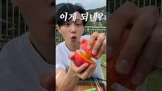 3초만에 망고 까먹는 꿀팁