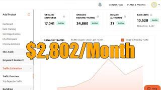 $2,802/Month Niche Website Traffic Overview