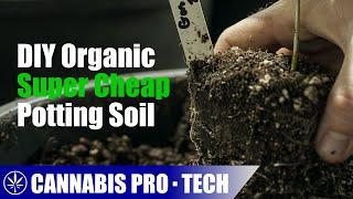 Building a Nutrient Rich Organic Potting Mix