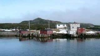 newfoundland video