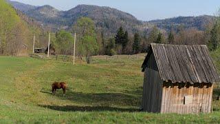 Edge of Wilderness: How a Large Family Thrives in Secluded Mountain Life in Springtime