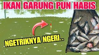 Luar Biasa..!! Pake Umpan Murah Ikan Diempang Terkuras Habis