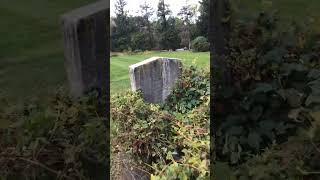 The Forgotten Grave of Lloyd Rogers from the 1800’s #cemetery #forgotten #shorts