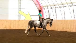 #22: Contact — 40 Fundamentals of English Riding