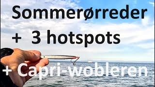 3 hotspots og sommerørreder