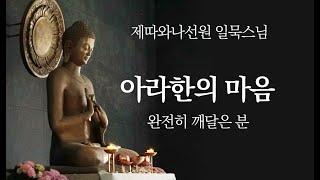 아라한의 마음ㅣ일묵스님ㅣ제따와나선원 정기법회 2024.10.09