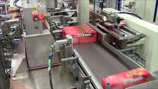 JOMET - Automatic packing of biscuit boxes in wrap-around cartons