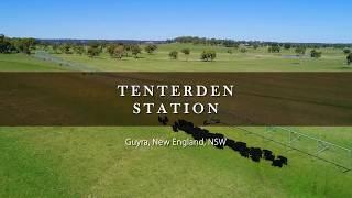 'Tenterden Station', Guyra, New England, NSW