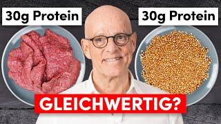 Pflanzliches Protein vs. tierisches Protein: Das sollten Sie wissen!