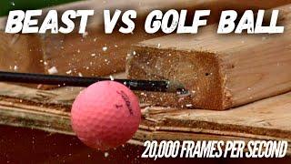 Golf Ball VS BEAST Broadhead in Slow Motion! | 20,000 FPS |