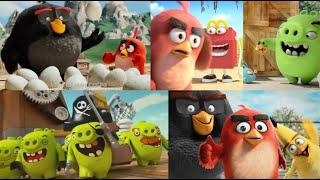 Angry Birds Commercials Compilation All Toons Ads Review