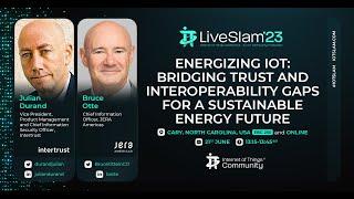 Energizing IoT: bridging trust and interoperability gaps for a sustainable energy future