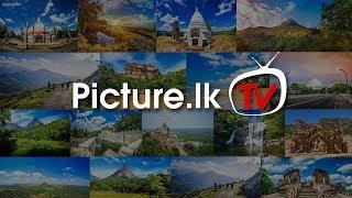 Introducing Picture.lk TV