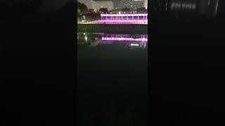 위례 창곡천 개구리