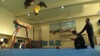 David Belle, Flips and Parkour.