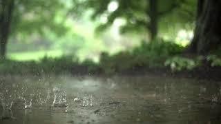 Sebastian s. Thompson- Listen to the Rain