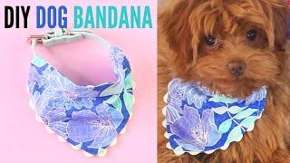 Free Dog Bandana Pattern DIY