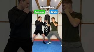 TAEKWONDO vs KARATE combinations