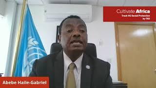 Dr Abebe Haile Gebriel I Cultivate Africa 2020 I FAO