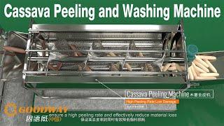 Cassava Peeling Machine 3D working video