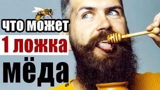 Ложка меда утром натощак – что будет с телом через месяц?