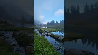 Stream flowing into an alpine lake. #nature #mountains