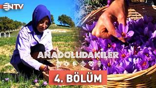 Anadoludakiler 4. Bölüm | Batı Karadeniz | NTV