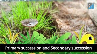 Ecological Succession