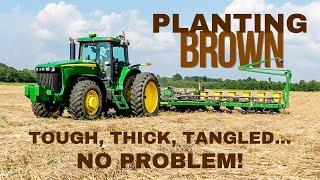 Planting Into Dead Cover Crops