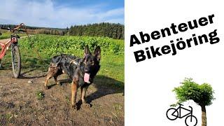 Abenteuer Bikejöring mit kleinem Unfall, Deutscher Schäferhund zieht Fahrrad durch die schöne Natur