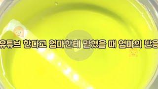 엄마한테 유튜브한다고 말했을 때 엄마 반응/시리즈 액괴/시액