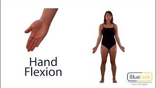 Hand Flexion Extension Hyperextension