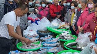 Taiwan Seafood Auction - Beautiful Squid, Salmon, Tuna Fish !