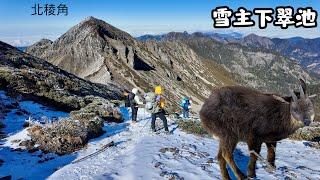 【百岳】雪山主峰下翠池2025絕美圈谷冰河遺跡️超可愛長鬃山羊台灣雪景紀錄-看見台灣-赤心巔峰Taiwantouristspot 68 Top 100 Mt.Taiwan Mount Syue