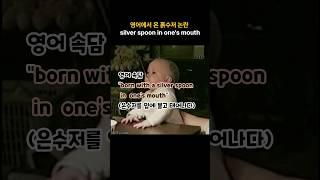 금수저논란은 영어에서부터 시작 #지식 #상식적인 #어휘 #어원