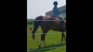 First time cantering in English #horses #canter #English