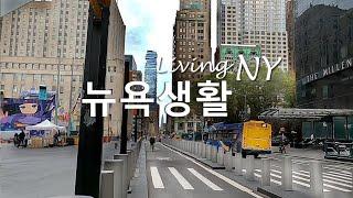 Living in NY 뉴욕생활, Century 21에서의 마지막 쇼핑, 꼭 먹어 봐야하는 뉴욕의 유명 베이커리 초코렛 밥카(Chocolate Babka), 녹두국수 볶음 레시피