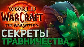 ТРАВНИЧЕСТВО ТВВ WOW THE WAR WITHIN  ПАТЧ 11.0 ПОДРОБНЫЙ ГАЙД ПРОФЕССИИ ВОВ ВАР ВИЗИН