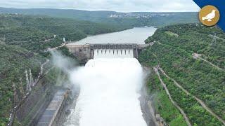 Heavy water flows into srisailam dam, 10 gates lifted