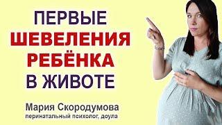 Когда ощущаются первые шевеления ребенка в утробе? Как шевелится малыш в животе беременной.