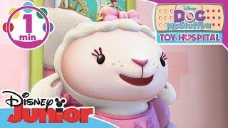 Doc McStuffins | Tonight is Going to be Perfect Song | Disney Junior UK