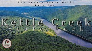 Is this the BEST State Park in Pennsylvania? | Exploring Kettle Creek State Park!