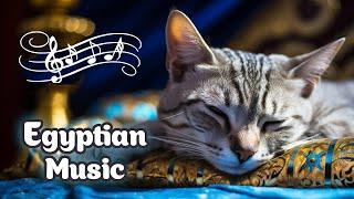  Ancient Egyptian Cat Music for Relaxation and Sleep  Stress Relief