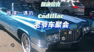 难得一遇的凯迪拉克老爷车聚会#Cadillac#@