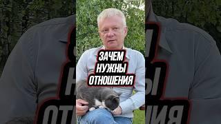 Вот оно: Главный элемент успешной жизни #психология #мужчина #женщина