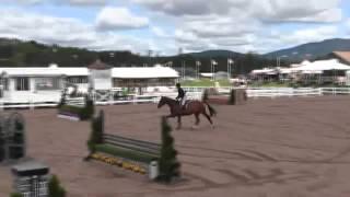 Video of MAITRE D' ridden by AMANDA STEEGE from ShowNet!