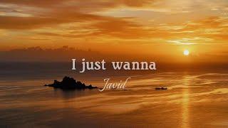 Javid - I just wanna