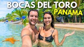 Bocas Del Toro Is So Cool!  PANAMA (What To Expect & Prices)