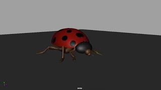 The Wrong Rock | Animation -  LadyBird Walk Forward Fast On Spot